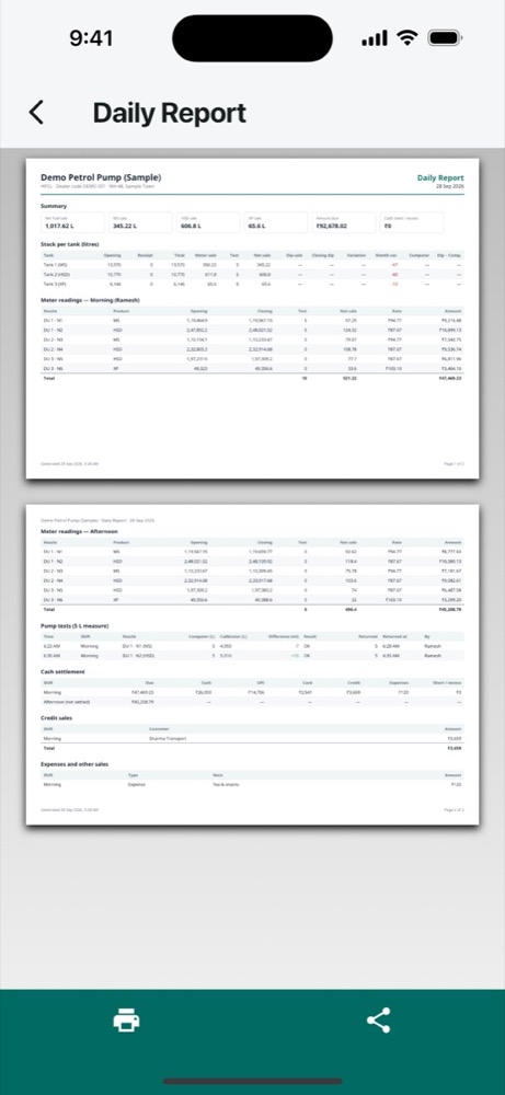 Daily report PDF